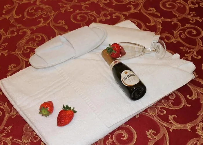 Hotel Hotel Centrale Trieste