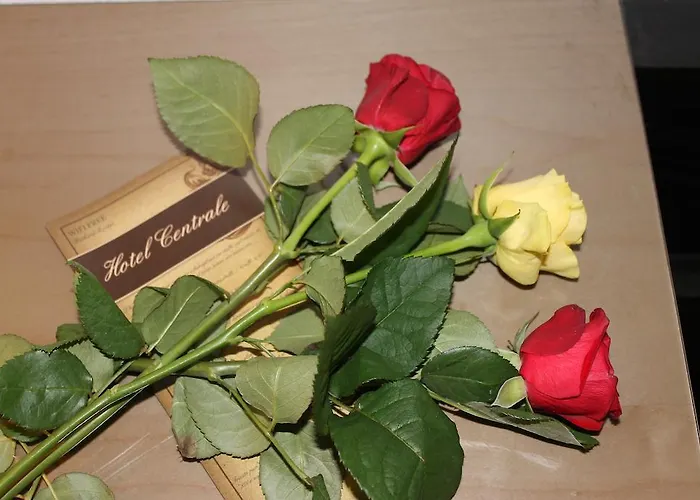 Hotel Hotel Centrale Trieste